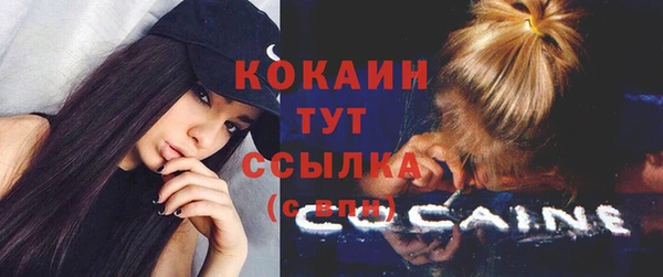сатива Баксан