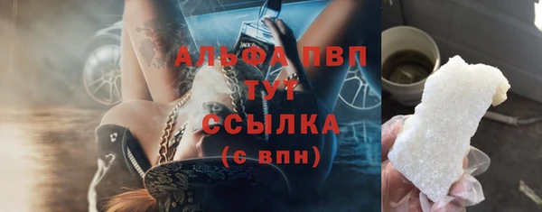 сатива Баксан