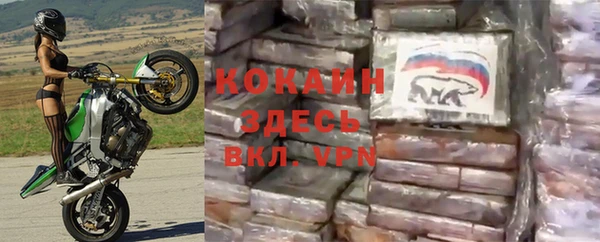 сатива Баксан