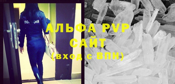 сатива Баксан