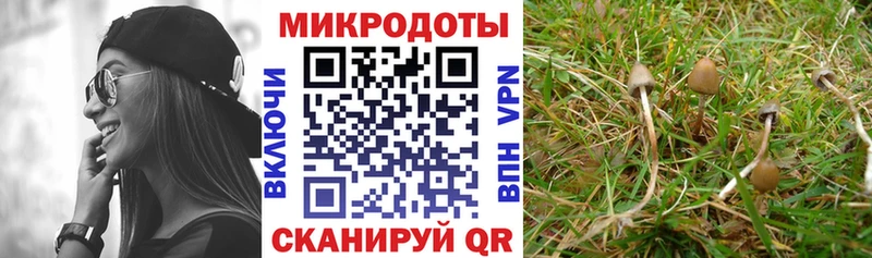 Псилоцибиновые грибы прущие грибы  купить  сайты  Печора 